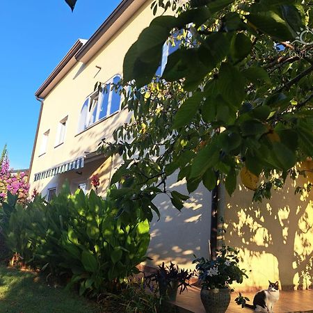 Bozica House With Apartments Murine ภายนอก รูปภาพ