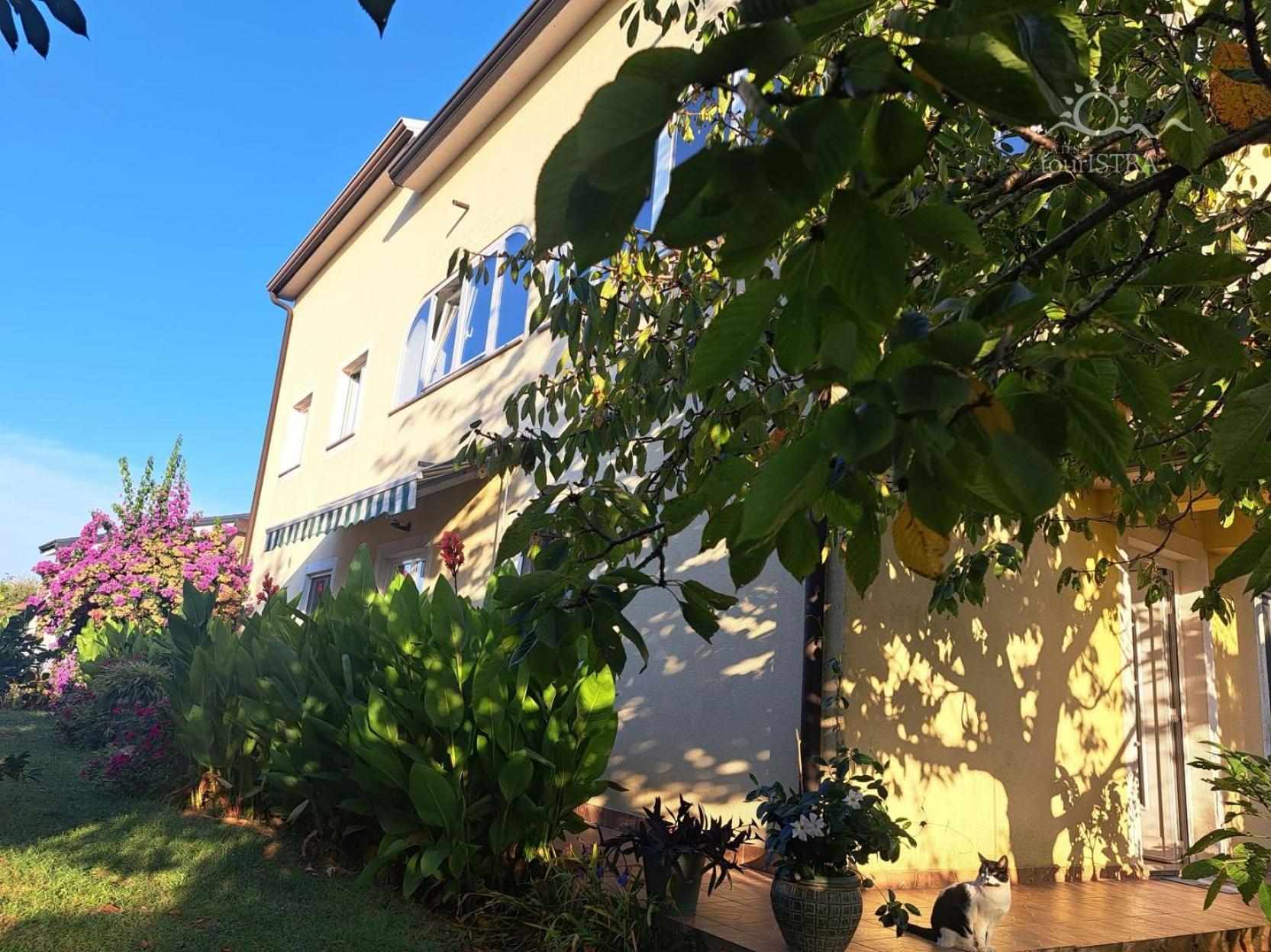 Bozica House With Apartments Murine ภายนอก รูปภาพ